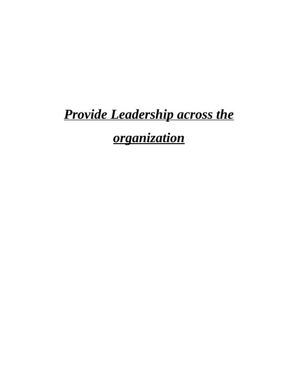 Provide Leadership across the organization: Assignment_1