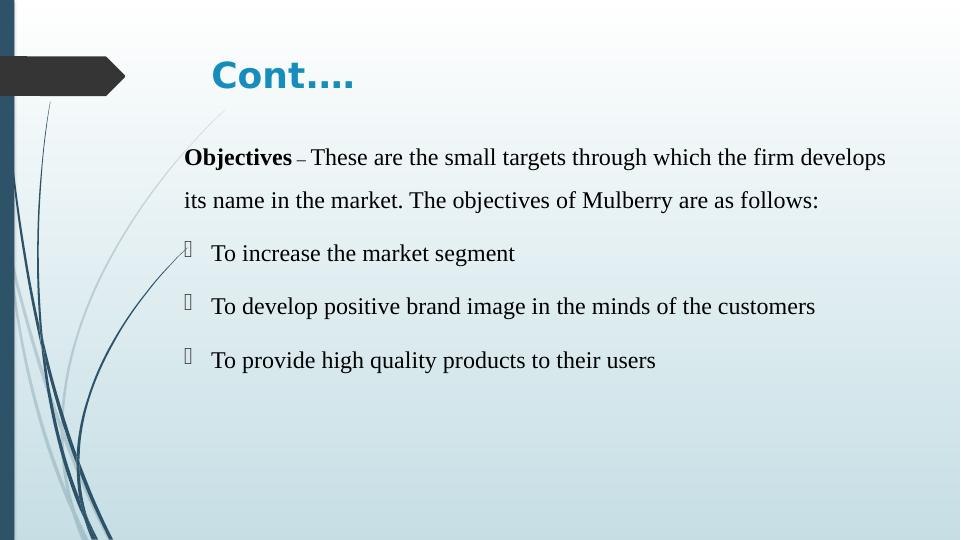 Business Strategy: Mulberry's Mission, Vision, and Core Competency_4