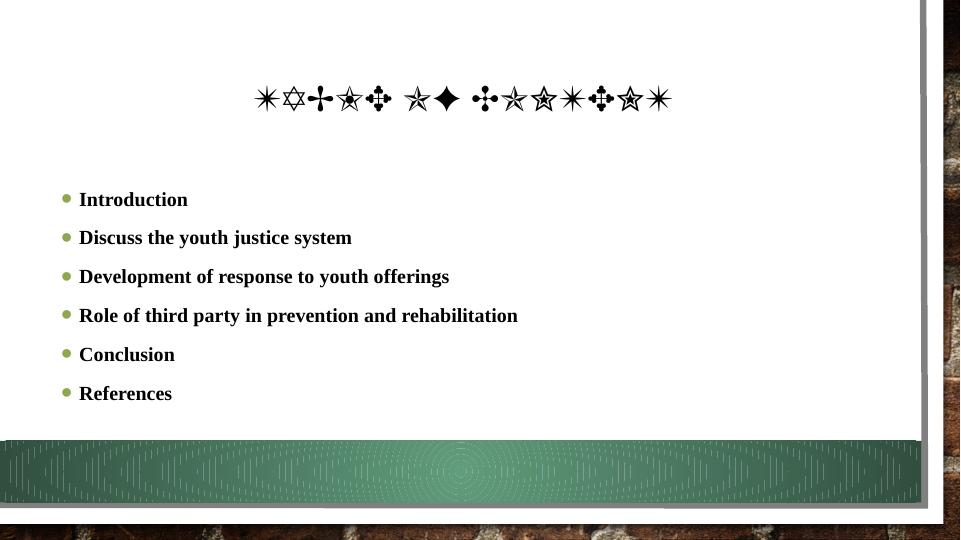 Reflective Practices in Youth Justice System_2