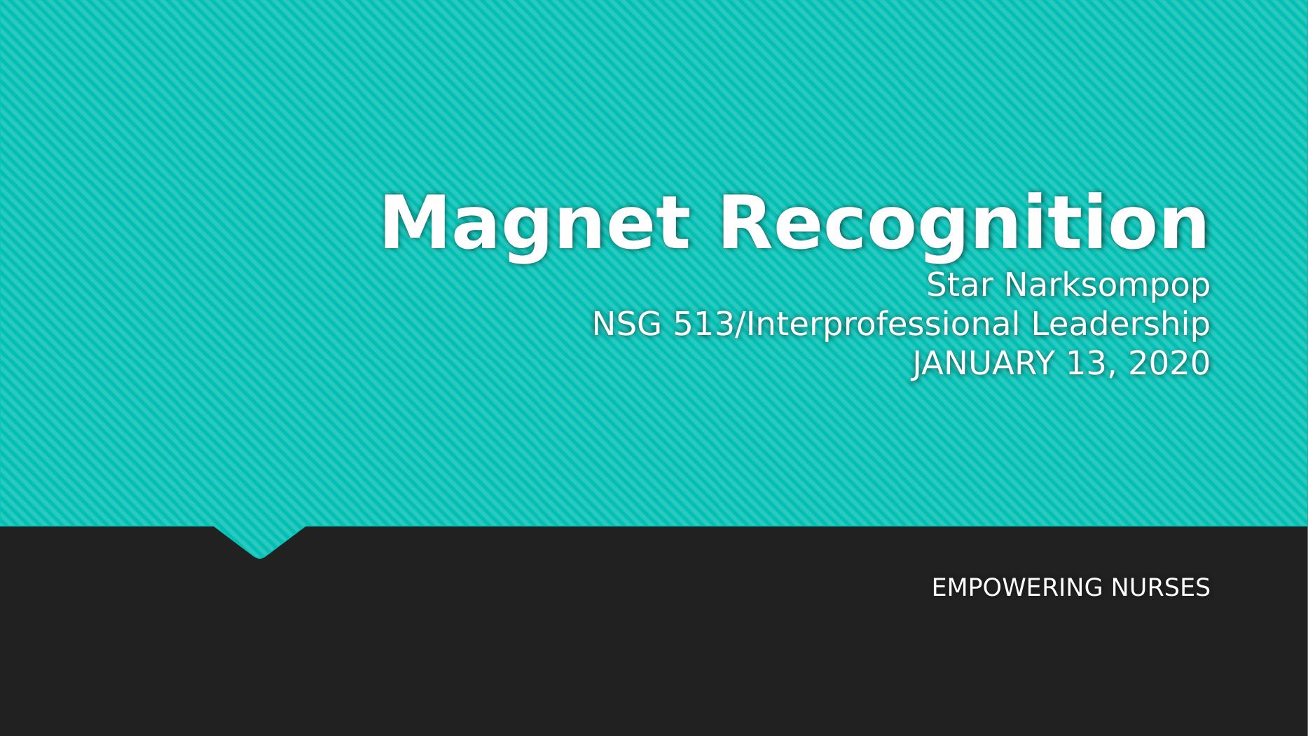 Magnet Recognition - Nursing Practice_1