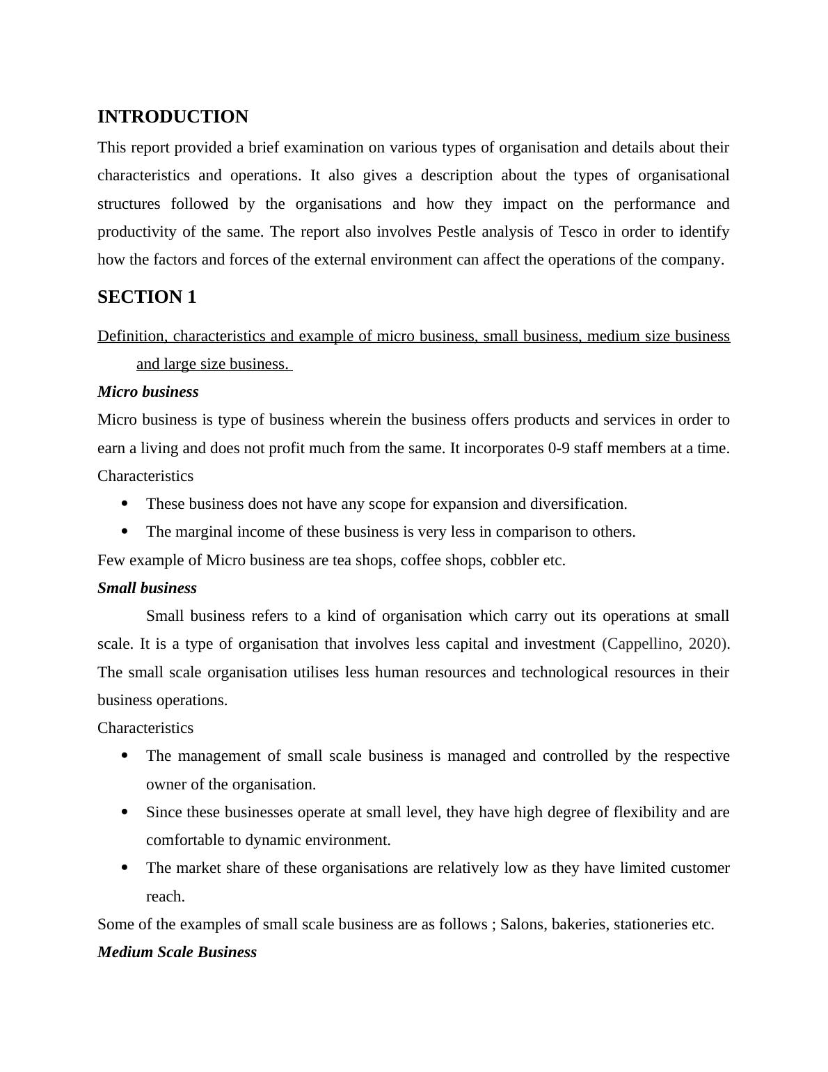 types of business organizations assignment