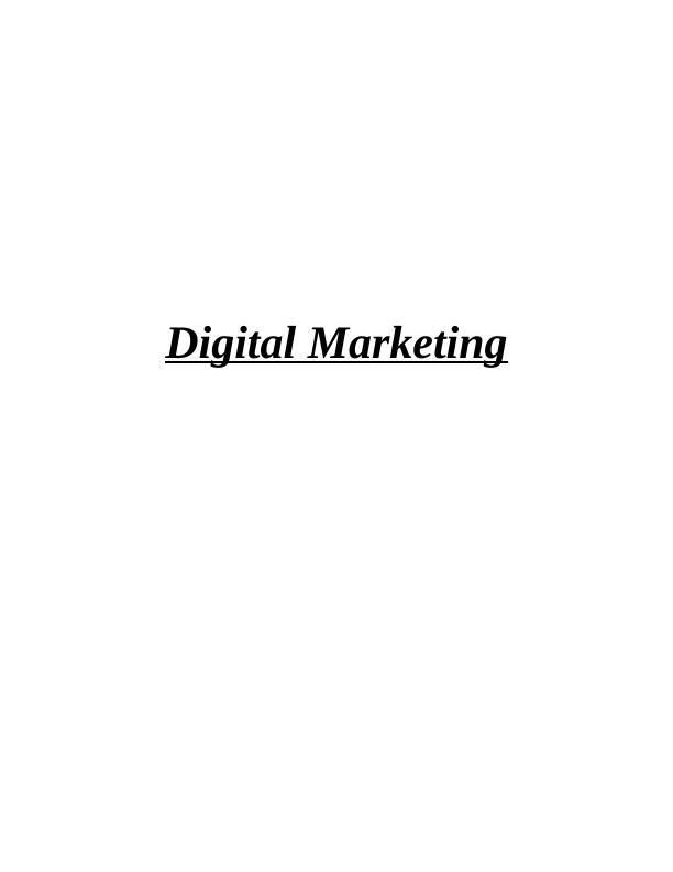Digital Marketing Strategies for Zalando_1