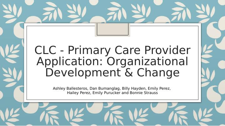 Implementing Change in Primary Care Provider Organizations_1