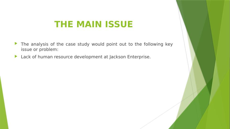 Leadership at Jacksons Enterprise Lack of Human Resource Development
