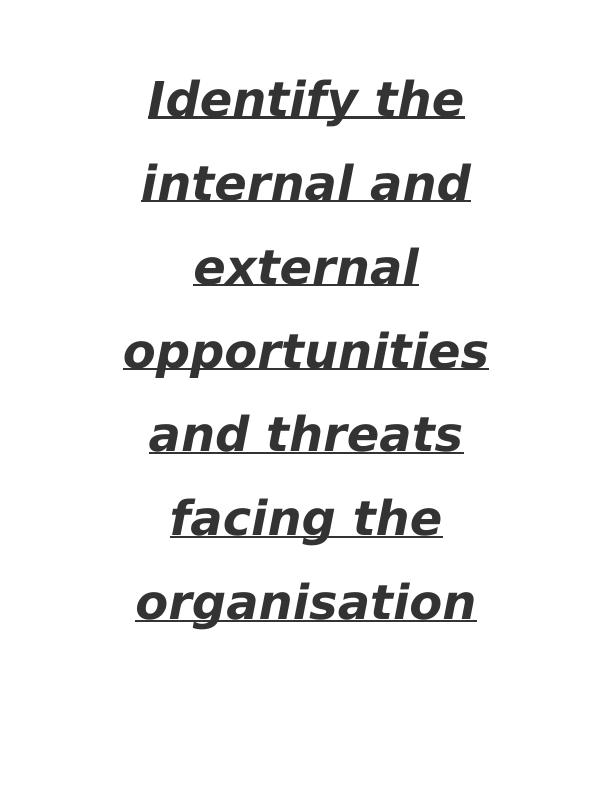Internal and External Analysis of JD Sports: Opportunities and Threats_1