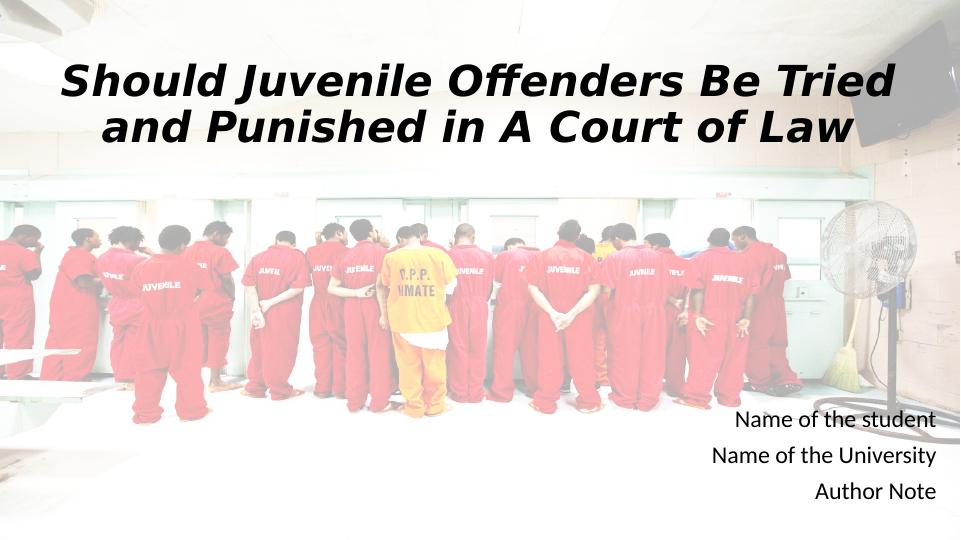 Should Juvenile Offenders Be Tried and Punished in A Court of Law_1