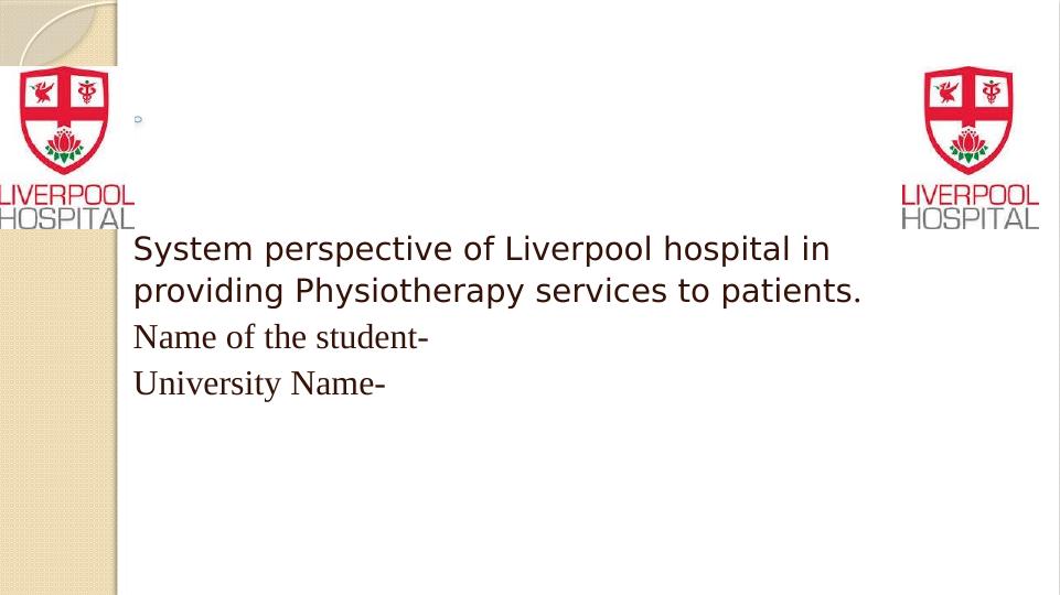 System Perspective of Liverpool Hospital in Providing Physiotherapy Services to Patients_1