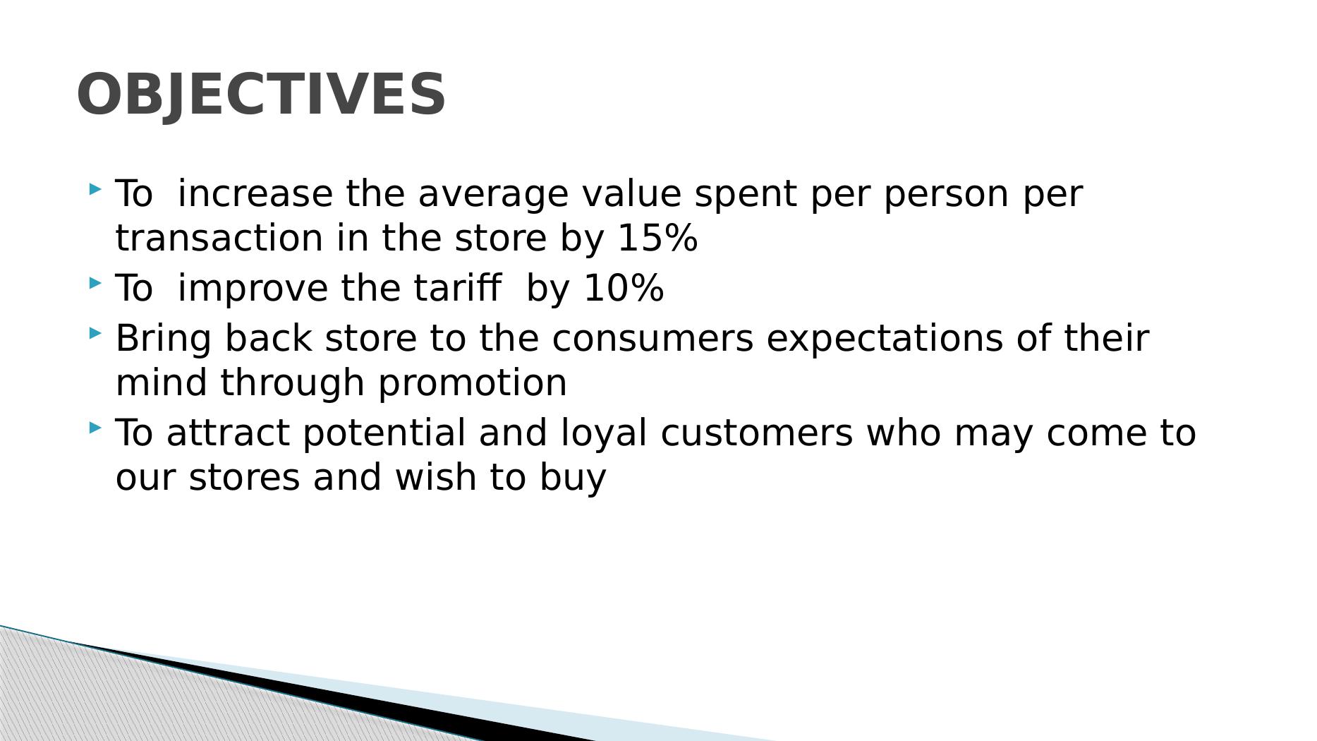 Marketing Campaign Plan and Strategy for Multimedia Retail Stores