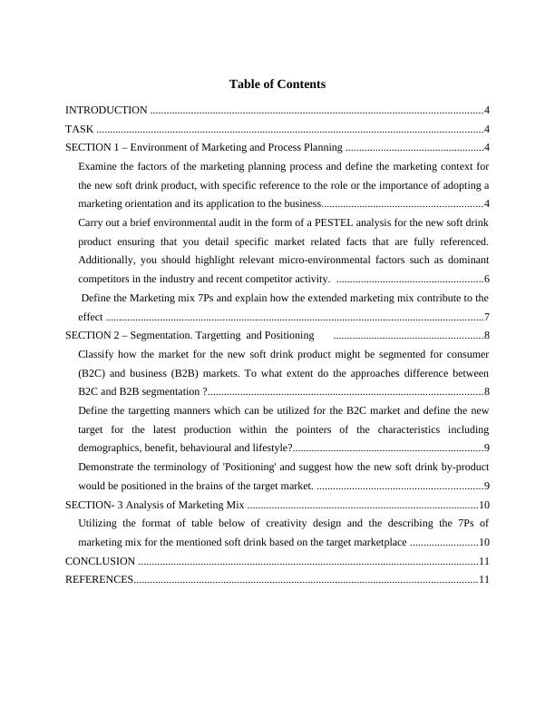 Marketing Planning and Segmentation for Splash Soft Drink