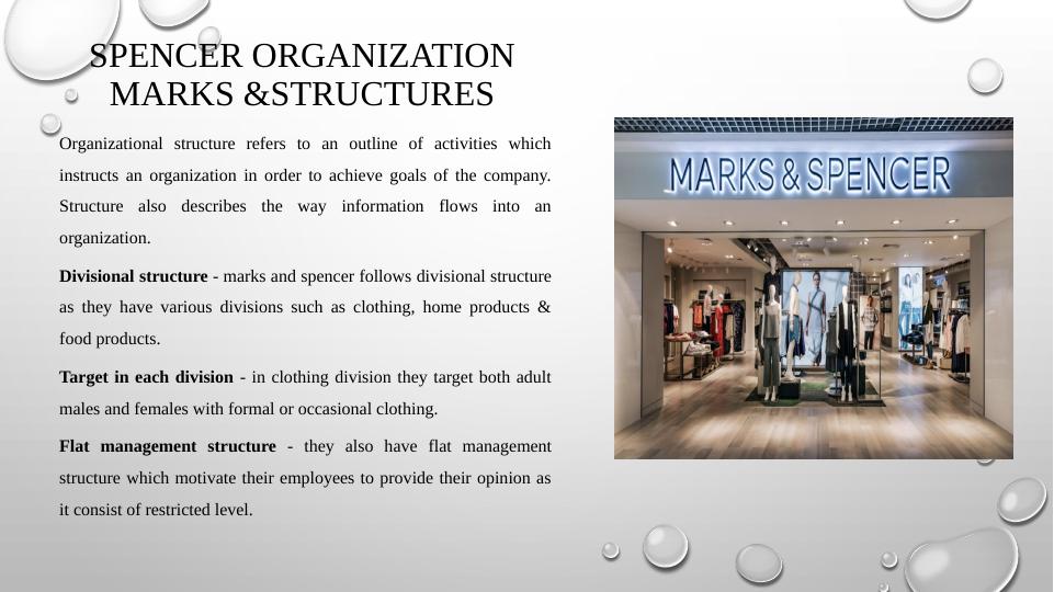 Organizational Structure and Technological Impact on Expansion Strategy of Marks & Spencer_4