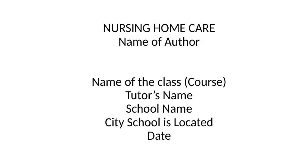 Nursing Home Care Services, Impact, Effectiveness, Efficiency, and Equity