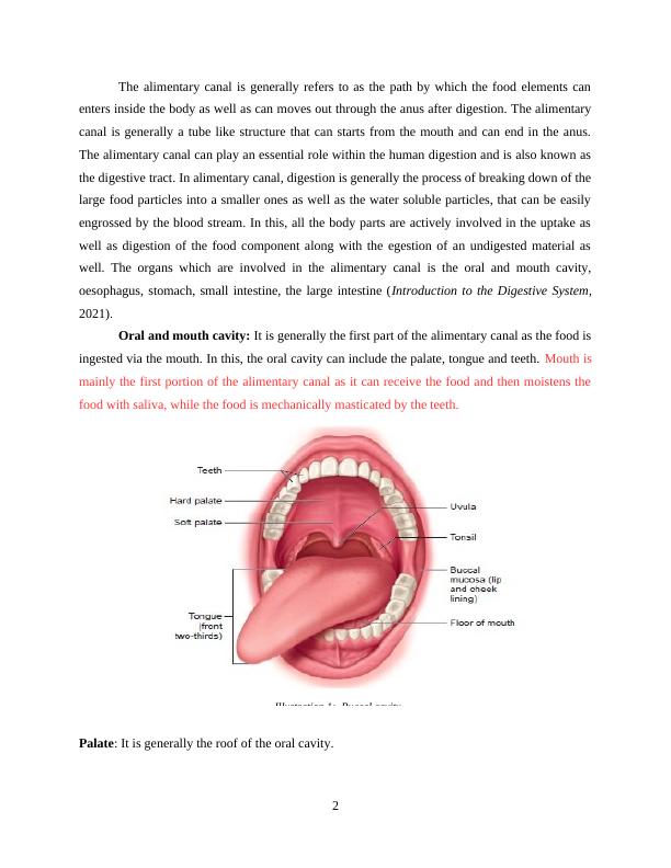 Nutrition and Digestion: Structure, Function, and Enzymatic Hydrolysis