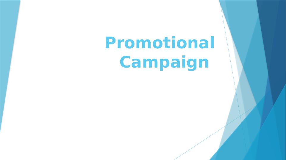 Develop Promotion Campaign 5 Steps_1