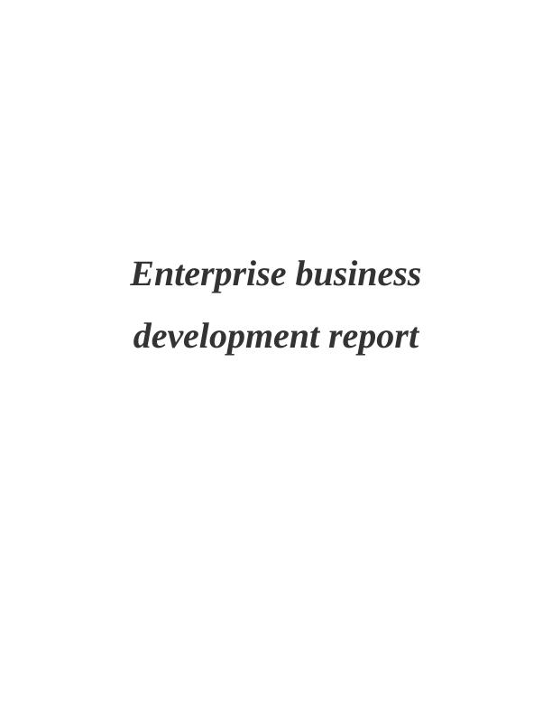 Enterprise Business Development Report for Organic Beauty Heaven_1