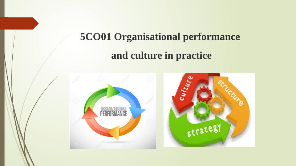 Organisational Performance and Culture in Practice - Desklib_1