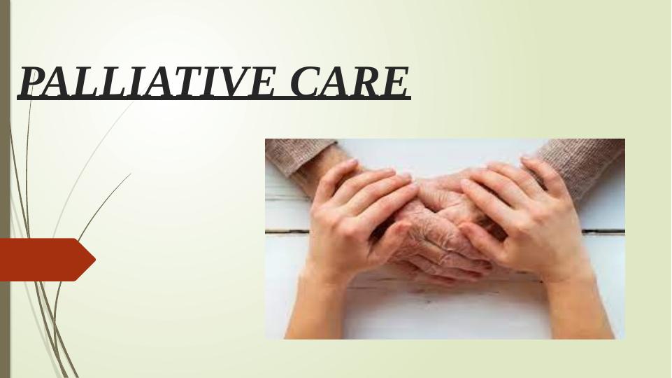 Palliative Care: Multidisciplinary Team Approach and National Standards_1