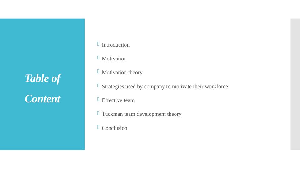People in Organizations - Motivation, Strategies, Effective Teams and Tuckman Theory_2