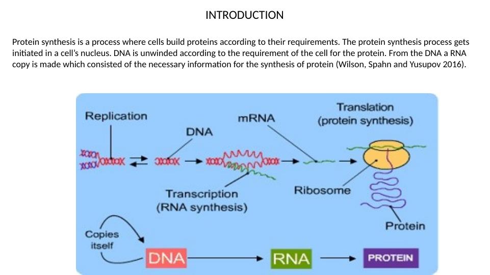 Protein Synthesis: Process, Terms, and Splicing