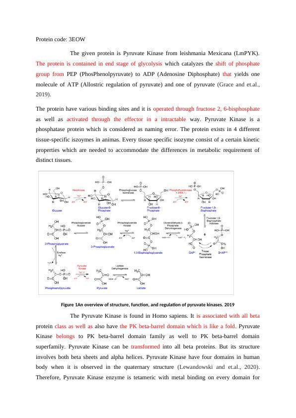 Pyruvate Kinase Structure Function And Regulation