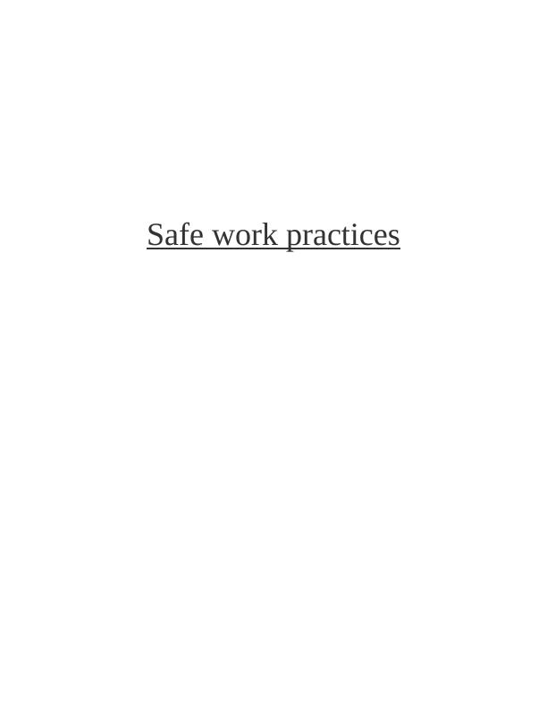 Safe Work Practices: Hazards, Risks, and Precautions_1