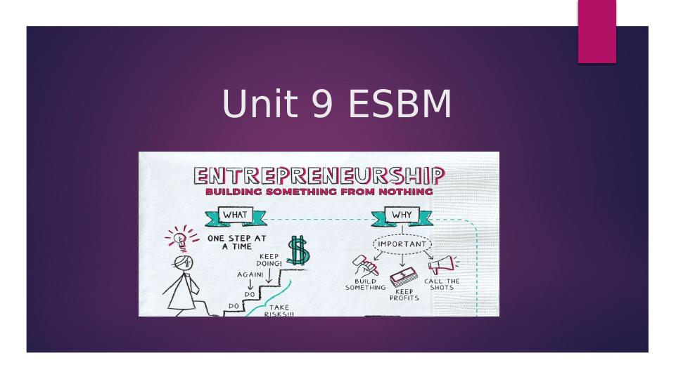 SME and Intrapreneurship: Impact and Significance in UK Economy - Unit 9 ESBM_1