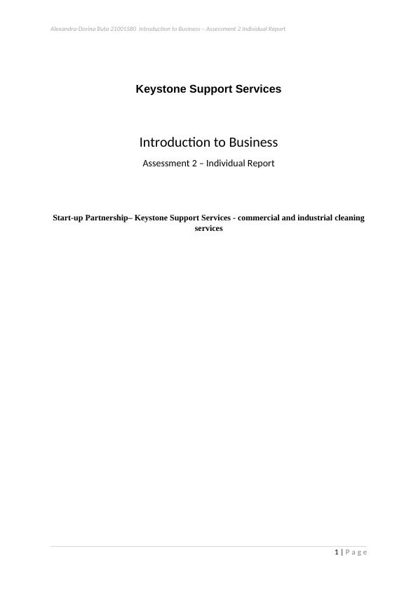 Startup Partnership Business Report for Keystone Support Services