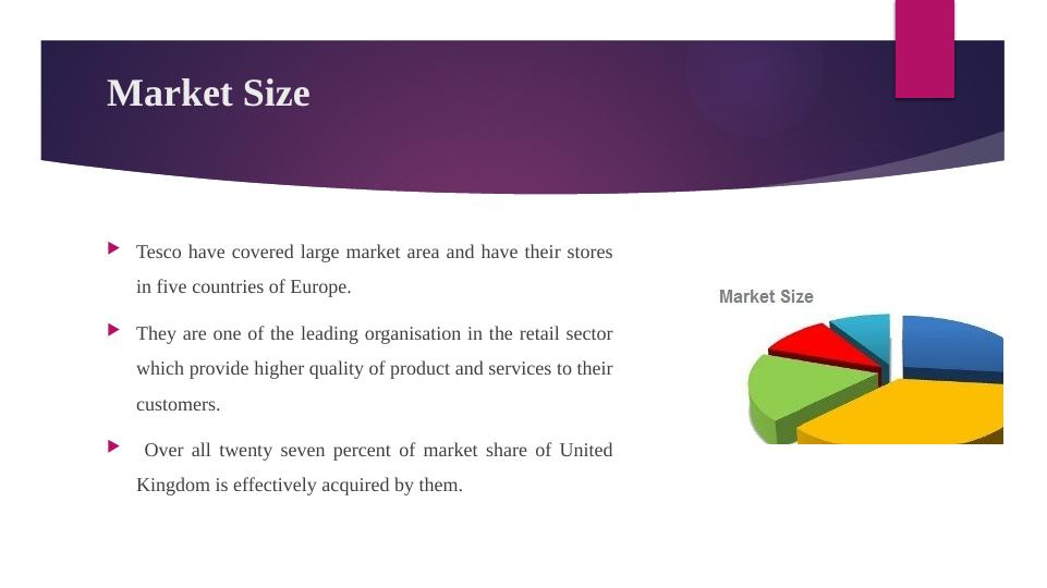 tesco marketing strategy case study