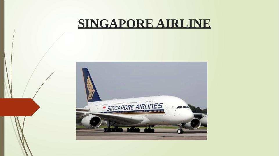 Sustainability in Airlines A Case Study of Singapore Airlines