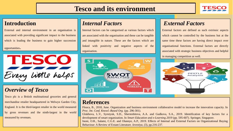 TESCO And Its Environment_1