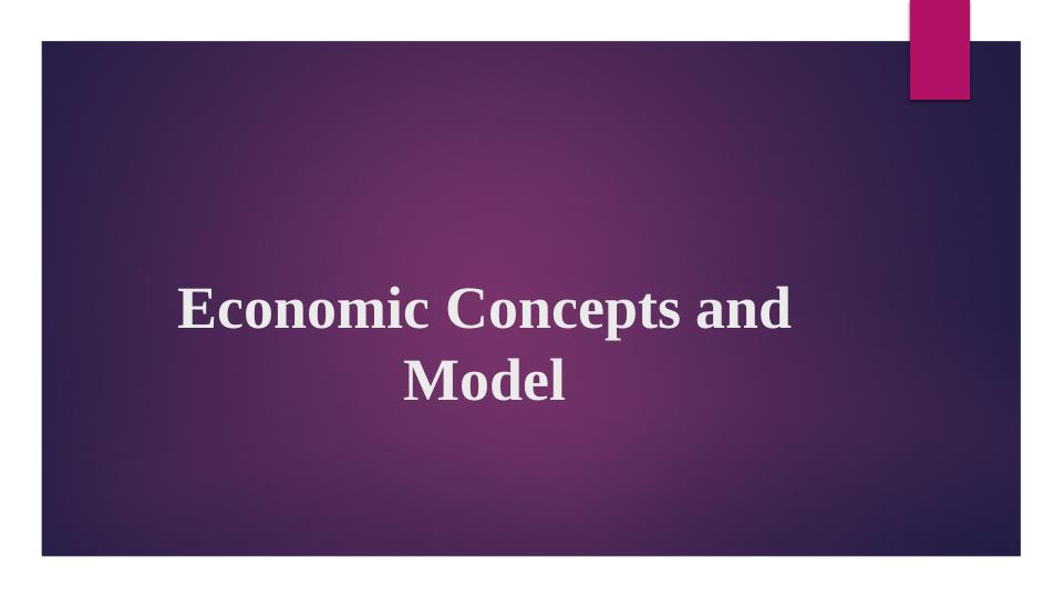 Economic Concepts and Model: Analysis of Trampoline Prices in UK_1
