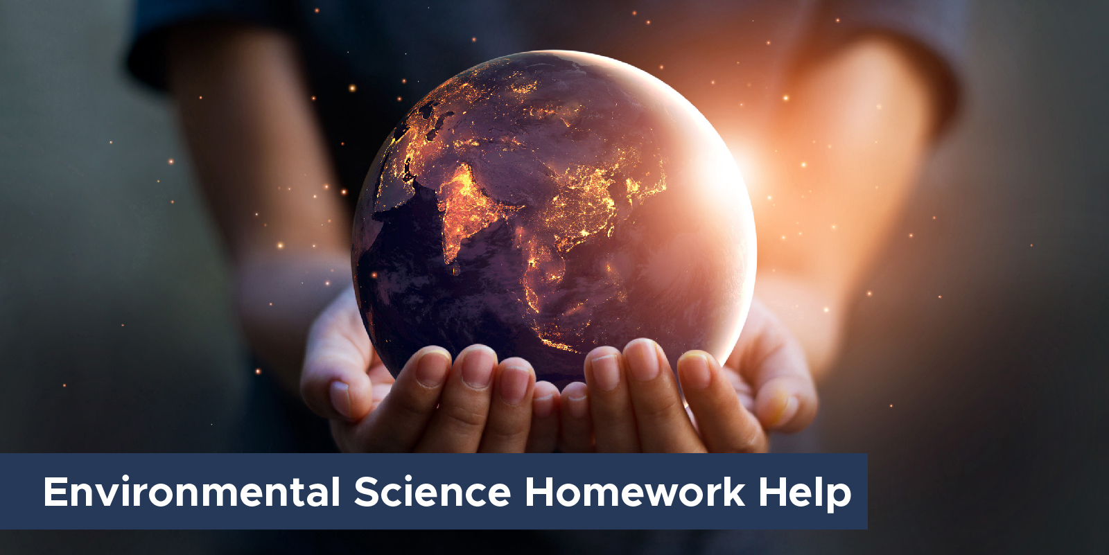 Environmental Science Homework help